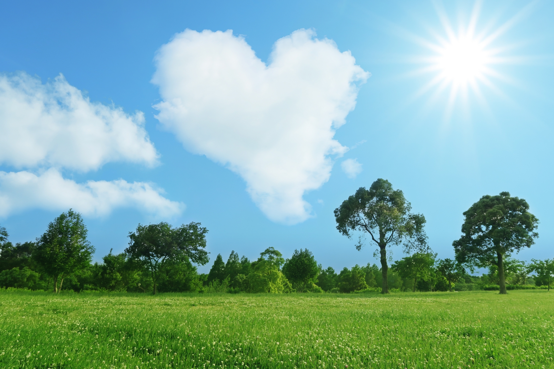 57aaeadfcd8237f16139bfccb7adfd70 m